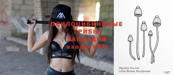 кокс Алексеевка