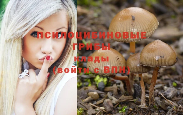 кокс Алексеевка