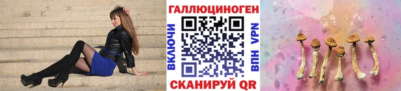 Псилоцибиновые грибы MAGIC MUSHROOMS  MEGA tor  Межгорье  купить  